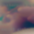 Escort girls Harlingen
