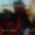 Swinger clips