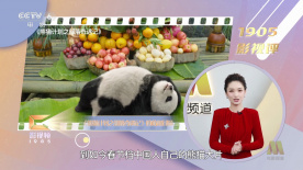 av高清电影在线